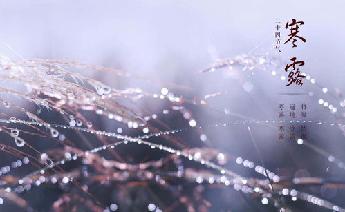 ：寒露期间属虎者运势概述