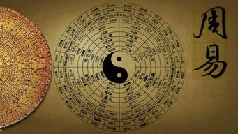 八字命理的构成与分析