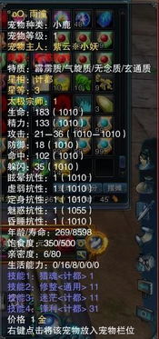 3. 星象推演：冥界引路的星辰轨迹