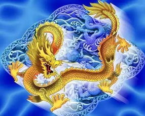 属龙人在鸡年适合投资哪些行业或生意以实现财富增长？