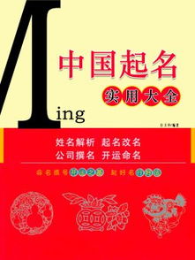 如何免费获取中国起名大全中的名字推荐？