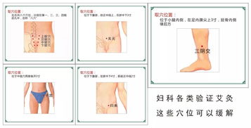 二、 肝肾功能“失踪”——血液循环较大堵塞