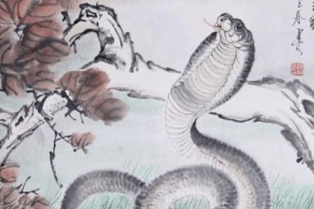 1977年属蛇男性2026年运势和全年运程具体详解是怎样的？