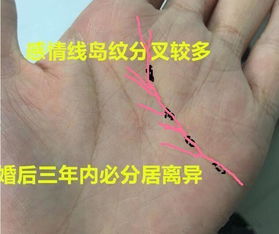 婚姻线末端分叉与中断的警示意义