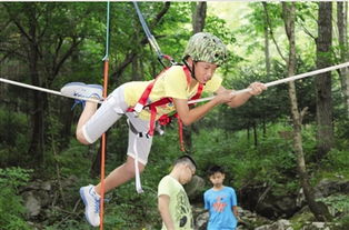 不一样的园林体验