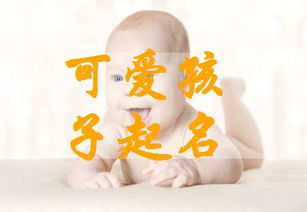 猪年男宝宝取名时，有没有什么带金字的吉祥好名字推荐呢？