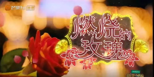 五、 舆论传播与网络语言：星耀标签化倾向