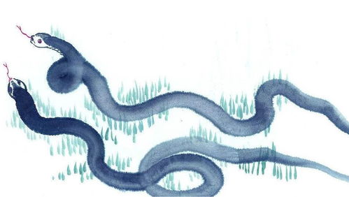 2026年属蛇人的运势如何才能实现逆转？