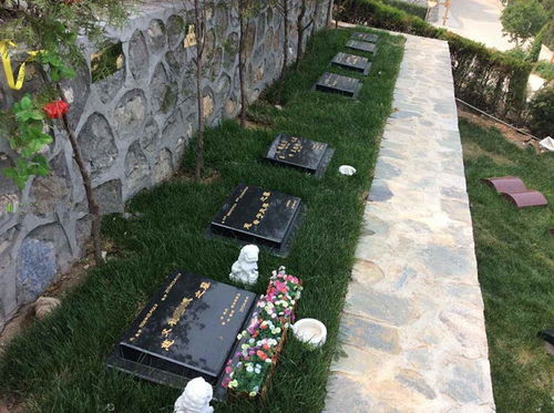 2026年墓碑风水大揭秘！看完直呼内行