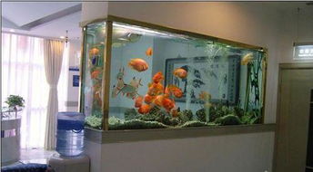 沙发背后的顾虑：营造平安感的重要性