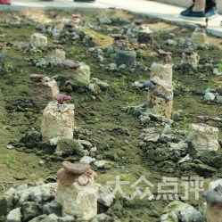 山阳田园这破地方到底值不值得去？2026年黄历警告！