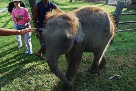 九、 尾声：未完待续的故事