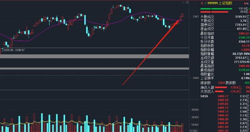 1.1 多元化的操作手法：价值投资、 量化交易与长期持有