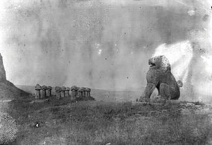 关于“短命”论调的科学性审视与批判