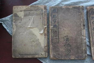 形体结构与部首归属