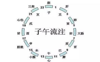 第一章：古代计时体系的精密逻辑与时辰界定