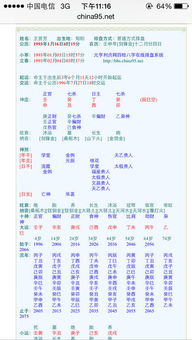 ：命理特征与职业选择的深层逻辑