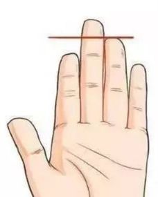 现代医学与体态学的交叉考察