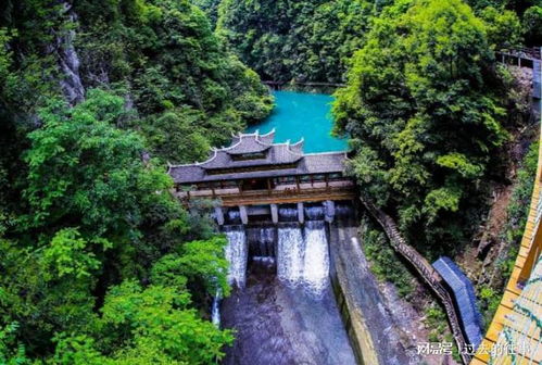 小夏的定制团：不是走马观花，  是灵魂对话