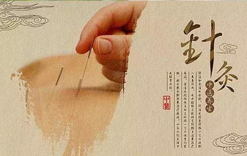 传承与创新：流派是中医进步的关键