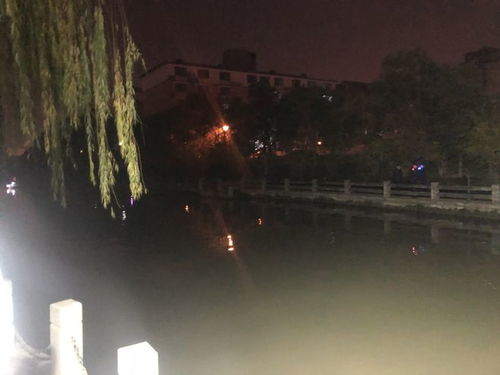 踏上桥梁