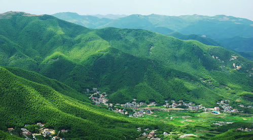 4. 湖州莫干山