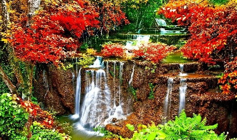 成双成对生肖配对和数字含义分别是什么？