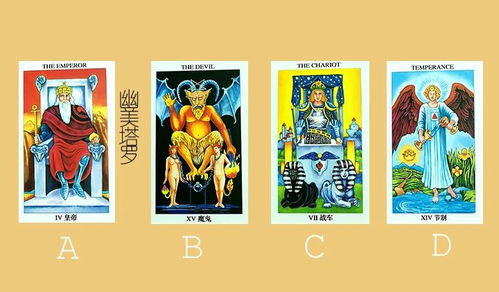 二、 心理层面的挑战：恐惧、自我怀疑与情绪失控