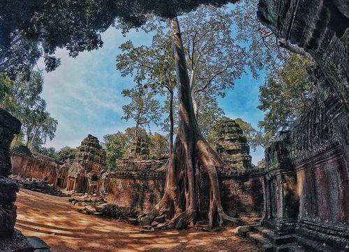 5. 省钱秘籍：穷游党的生存法则与辛酸泪