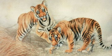 虎年出生的人属什么生肖？虎宝宝纪念礼物代表什么含义？