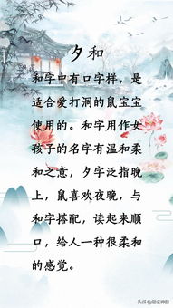 随机小段落：关于星座的小知识？我没想到会在起名文章里出现星座内容！其实呀，小女孩如果是狮子座，那可得叫“光芒”。但如果你不喜欢那种夸张感，那就改成“灵动”之类更低调点。