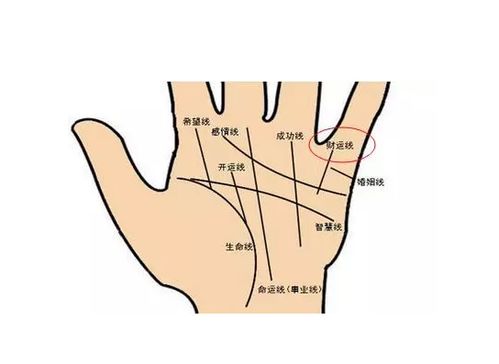 手相中如何识别有金库的聚财特征？