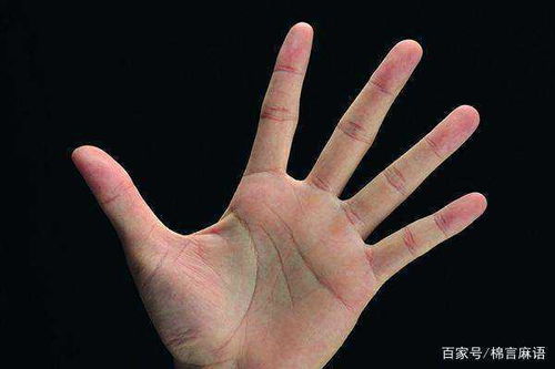 性别差异视角下的主辅手辨识