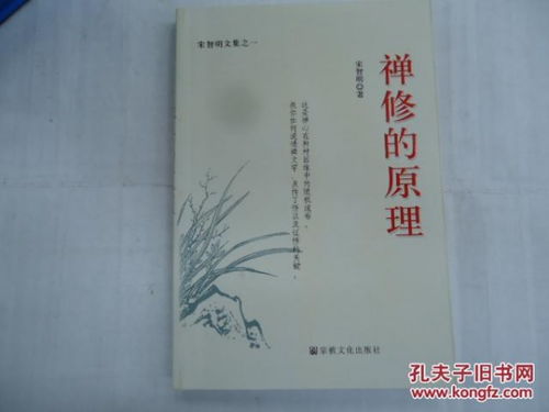 一、 正念禅修的理论基础与实践意义