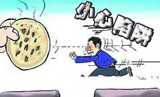 二、 环境因素对施工进度的制约机制