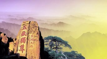 东岳泰山与西岳华山：颧骨丰隆对权势与社交运势的表征