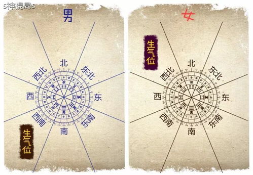 b) 己卯年份诞生者（阴性土）
