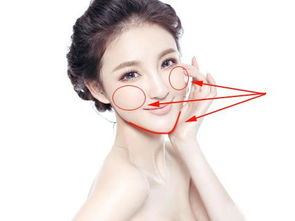 二、  性格特质分析：理性、独立与人际疏离