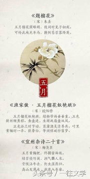 第二句诗词：明月几时有？把酒问青天
