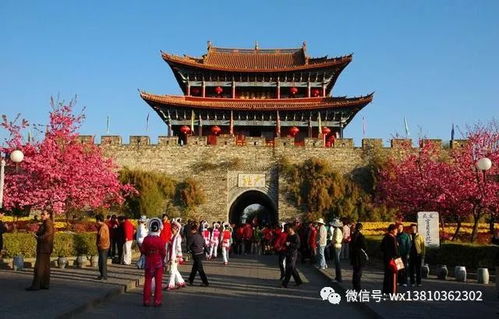 一、 通化的“奇葩”起点——一段不靠谱的自我介绍