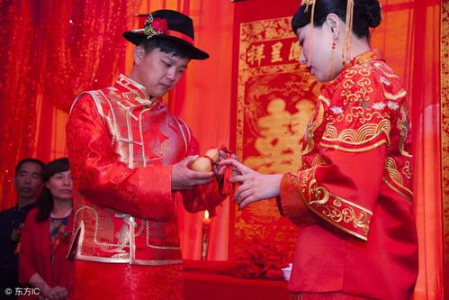 第四个神奇选项：属猪的暖心小天使