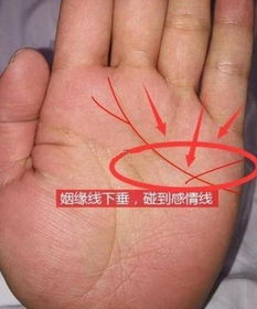 二、 不同形态特征对情感运势的指示意义