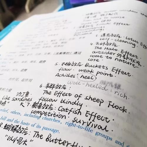 ：关于2011年8月1日诞生者的年龄与命理概览