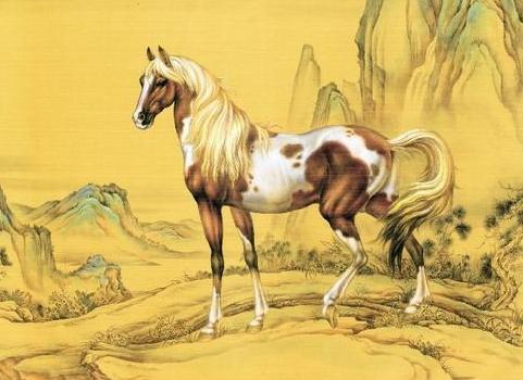 属马人2026年运势及运程完整版具体内容是什么？