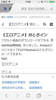 ：数字化时代的身份符号与国学命理的深层互构