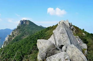 三亚——热带天堂的银发之旅， 空气质量的秘密武器