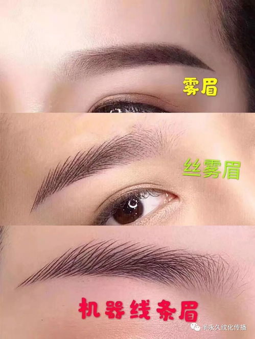 3. 眉毛浓黑——兄弟宫强盛与横财天降