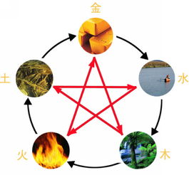 城头土命的人命运如何，他们的性格特点和命运走向是怎样的？