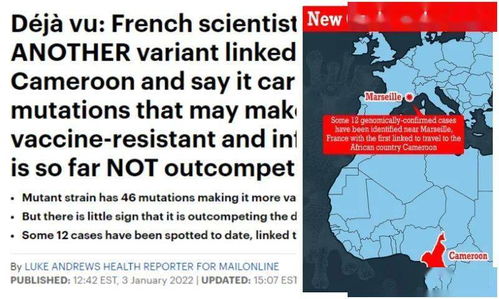 1.1 独立思考对八字结构的潜在调适作用