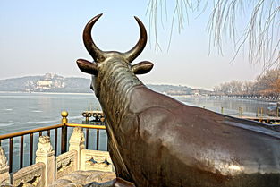 十七孔桥与铜牛必打卡